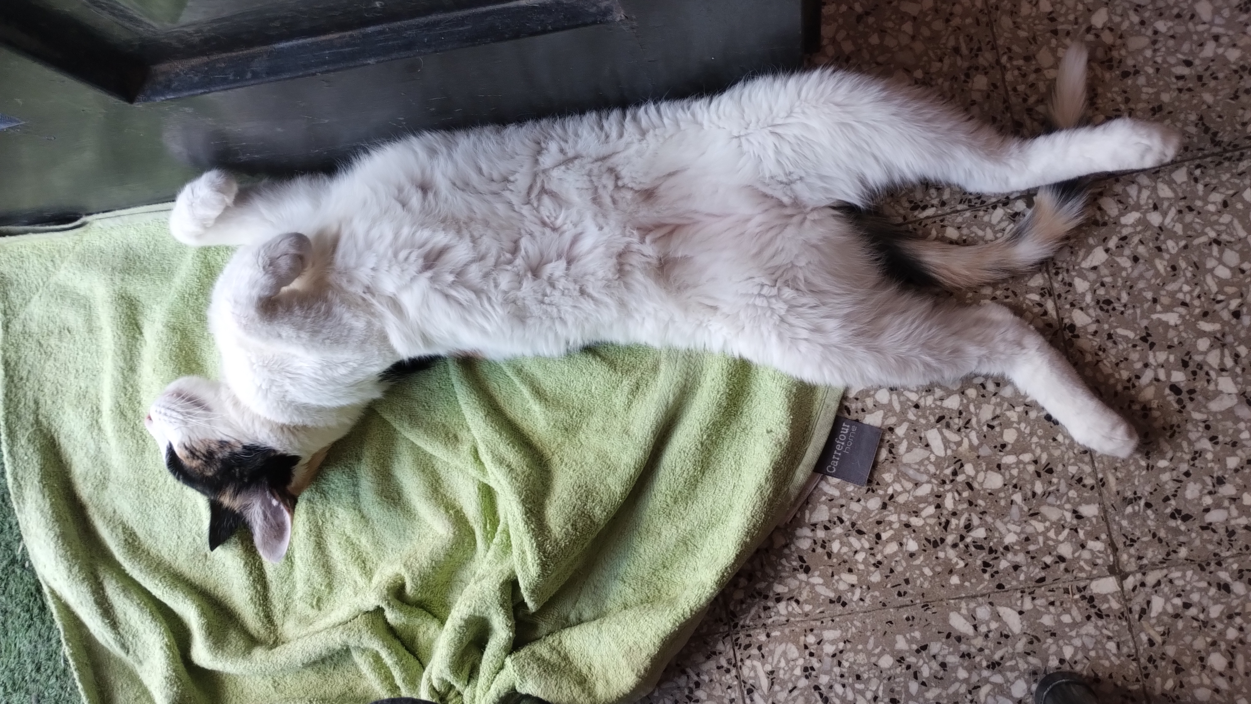 Kira